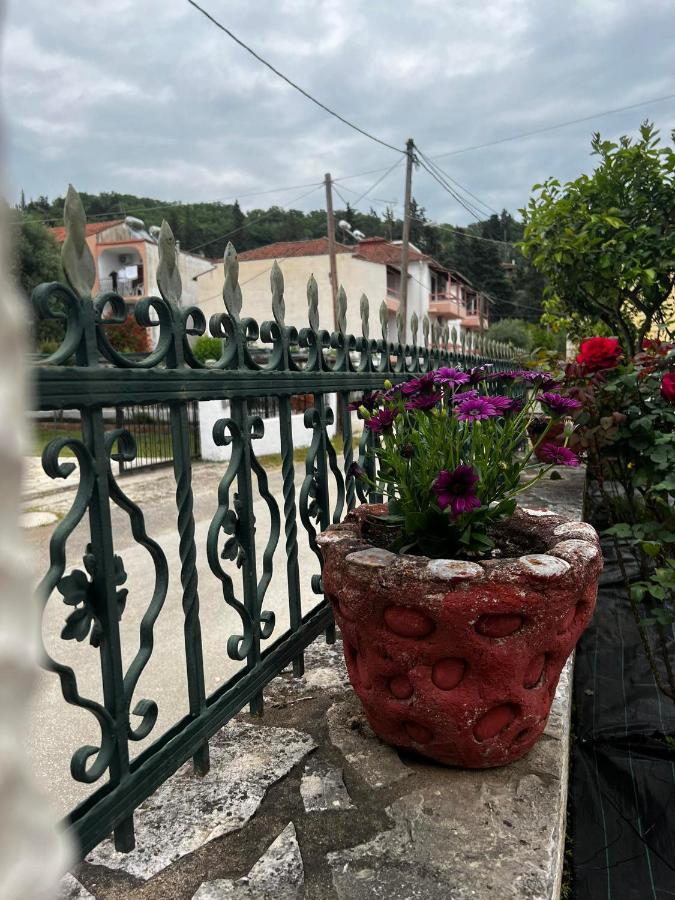 Dionysus Apartments & Studios Sívota 외부 사진