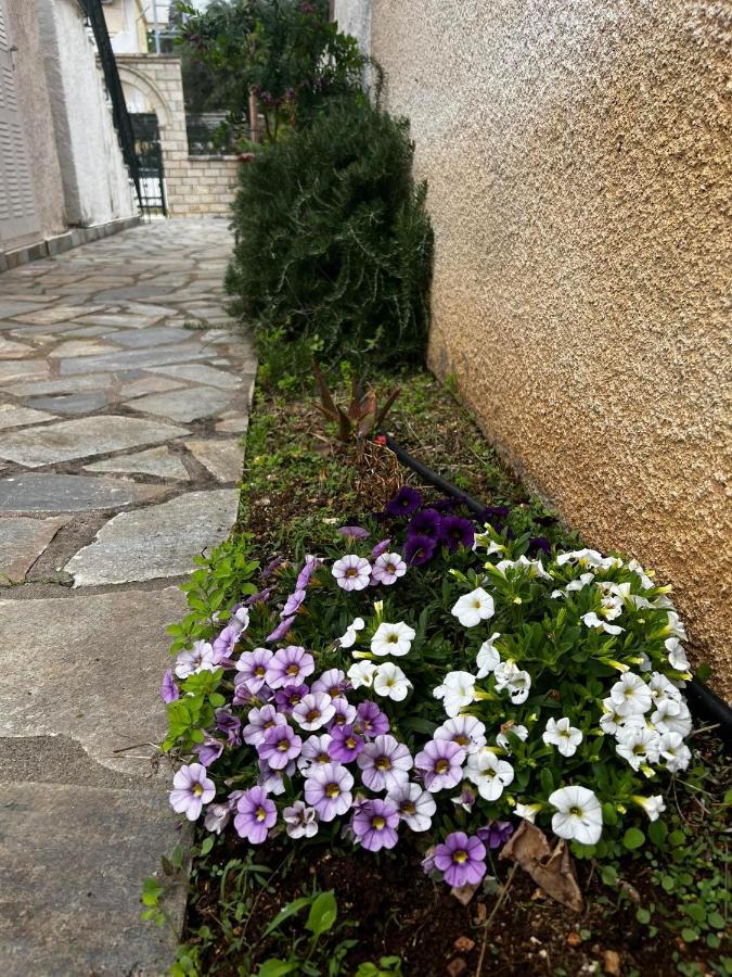 Dionysus Apartments & Studios Sívota 외부 사진