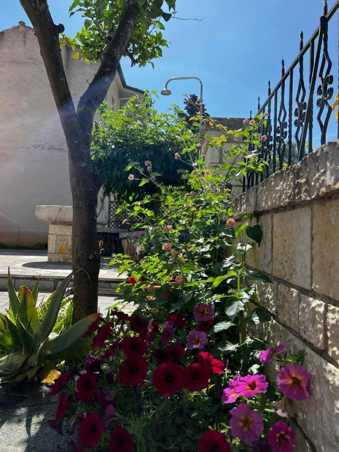Dionysus Apartments & Studios Sívota 외부 사진